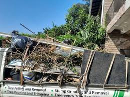 Professional Junk Removal in Twin Lakes, CA